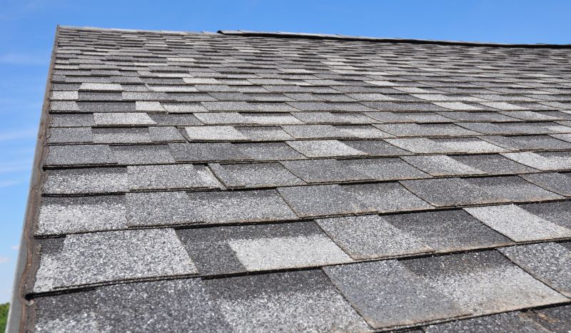 Asphalt Shingle Roofs