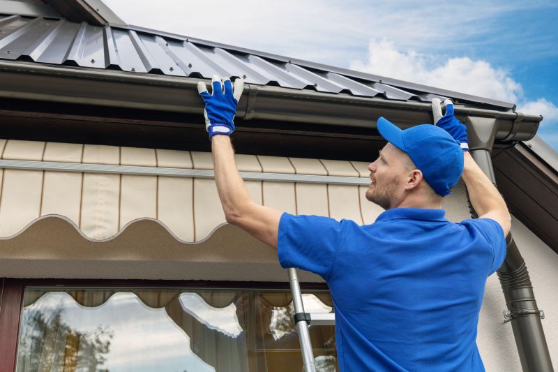 Gutter and Roof Maintenance